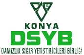 DSYB